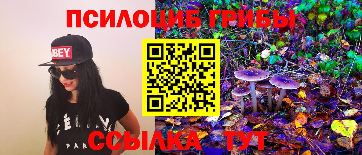 Кубинка  Галлюциногенные грибы Cubensis  Вход с VPN 