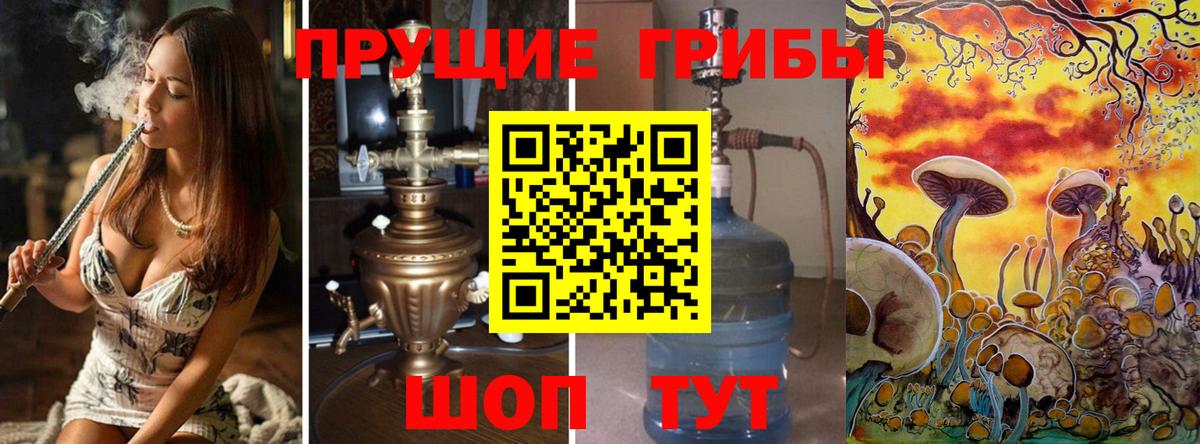 Псилоцибиновые грибы мицелий Кубинка